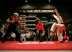 Karate kick knockout