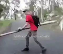 Man swings log and falls