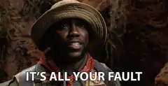 It's All Your Fault Meme