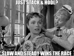 Just Stack and HODL Slow and Steady
