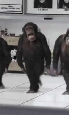 Dancing chimpanzees in a lab