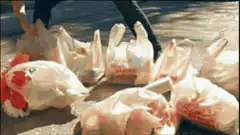 Spongebob head person carrying groceries