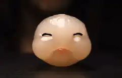 cute face lychee fruit