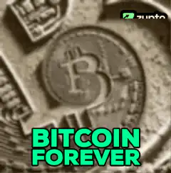 Bitcoin Forever Zoom