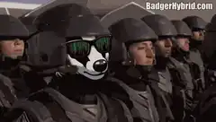 Badger in riot gear doing his part
