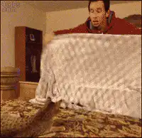 cat knocks blanket off bed
