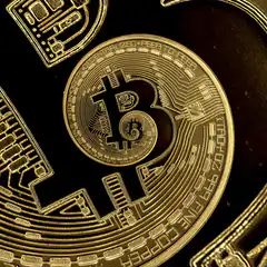 Golden Bitcoin Coin Zoom
