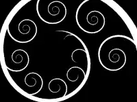 White spirals on black background