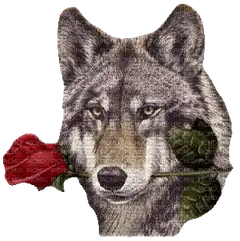 Wolf holding a red rose