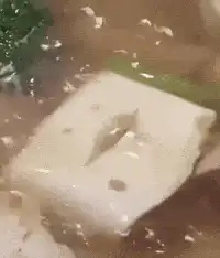 shrimp in tofu soup