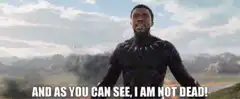 Black Panther I Am Not Dead