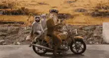 Three cats riding a motorcycle