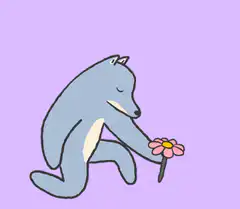 Blue wolf offers flower then shrugs