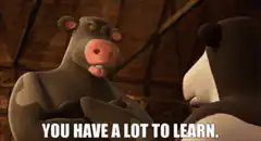 Cow says you have a lot to learn