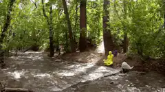 yellow and white figures in forest stream