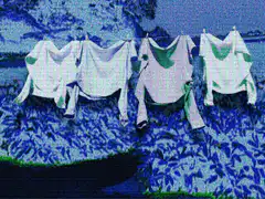 white shirts on clothesline