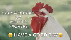 Cock-a-doodle do mother f#%cers have a good day