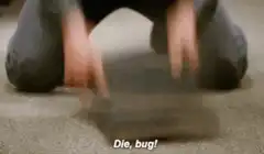 Die bug! man slapping floor