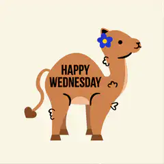 Happy Wednesday camel illustration