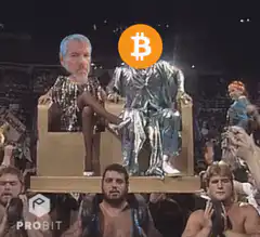Elon Musk Bitcoin Jesus