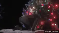 Home Alone bear slides down snowy hill