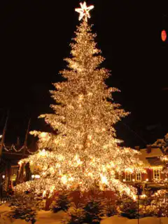 Glowing Christmas tree at night