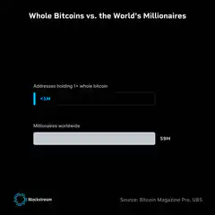 Whole Bitcoins vs. the World's Millionaires