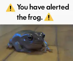 You have alerted the frog