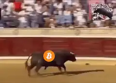 Bitcoin bull jumps into crowd 2023