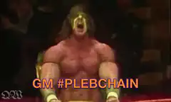 Ultimate Warrior screaming with text