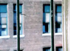 Chucky peeking through window bars
