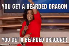 Oprah You Get a Bearded Dragon