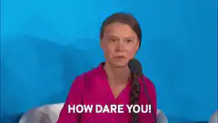 Greta Thunberg How Dare You