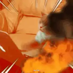 cat on fire laptop