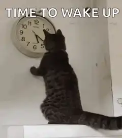Cat pushes clock hands forward