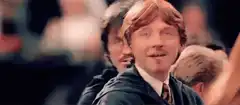 Harry and Ron smiling at each other