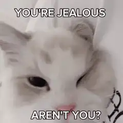 Jealous Cat Meme