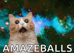 Amazeballs Cat