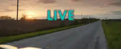 Live in the moment road trip