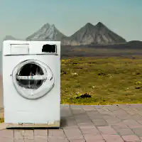Washing machine glitching in landscape