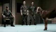 Soldier interrogates a goat