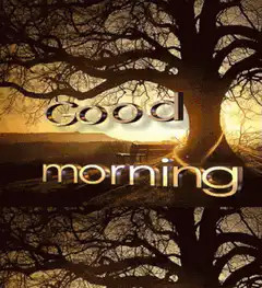 Good Morning Tree Silhouette