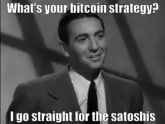 What's your bitcoin strategy I go straight for the satoshis