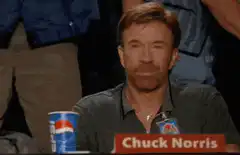 Chuck Norris Approves
