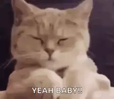 Yeah Baby Cat