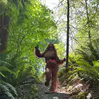 Bigfoot dancing in the forest