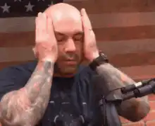 Joe Rogan facepalm