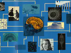 Vintage collage with brain and scientific diagrams