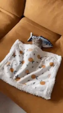 kitten sleeping under blanket with fish toy