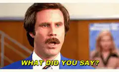 Ron Burgundy What Did You Say